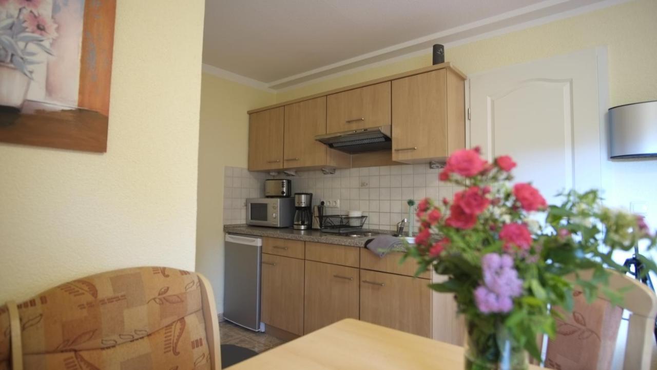 Lieblingsplatz By Julia & Tom Apartment Kesselsdorf ภายนอก รูปภาพ